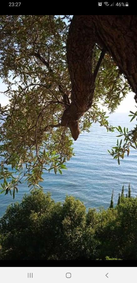 Hotel Lagjini Λούκοβο Εξωτερικό φωτογραφία